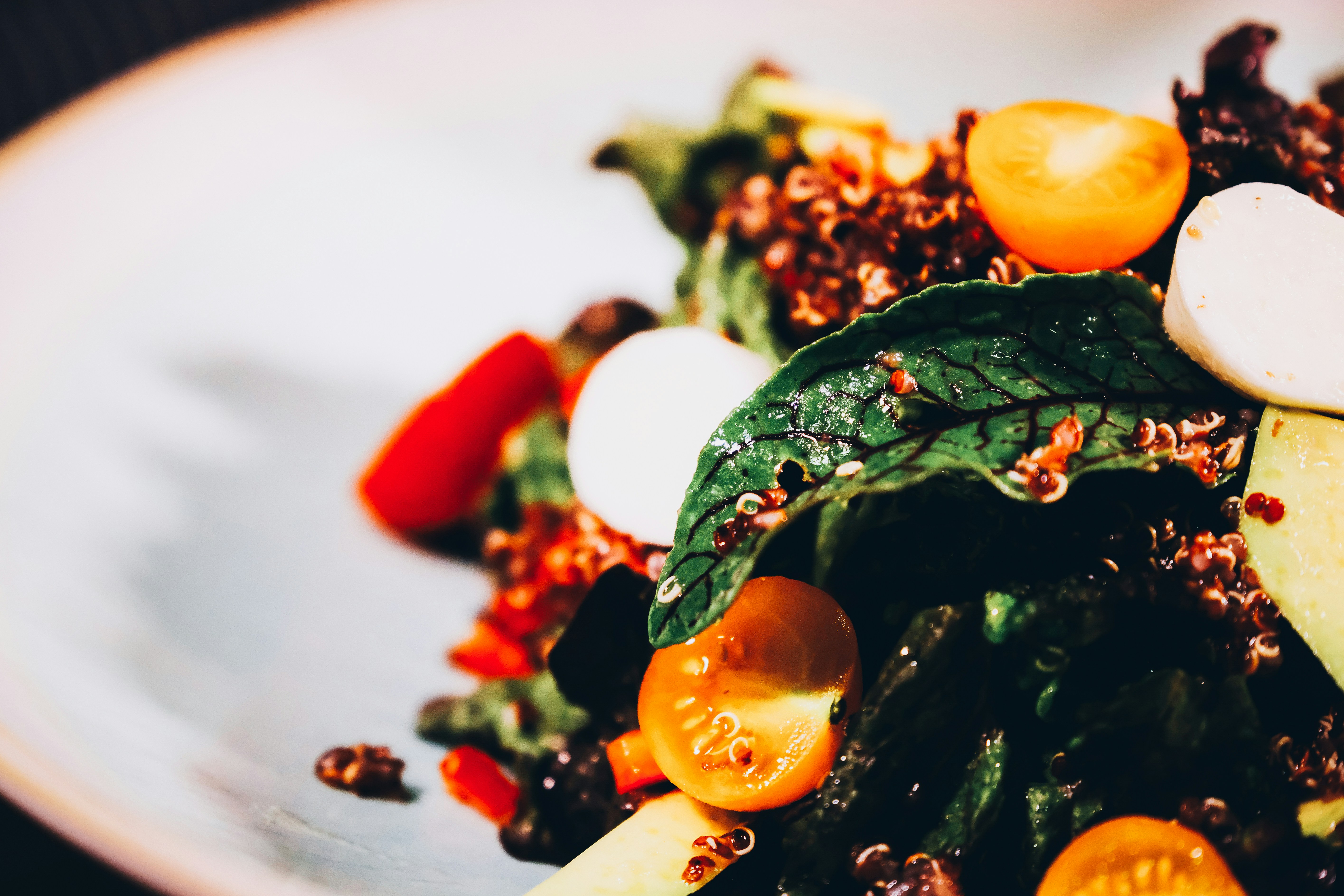 Photo by sammoghadam