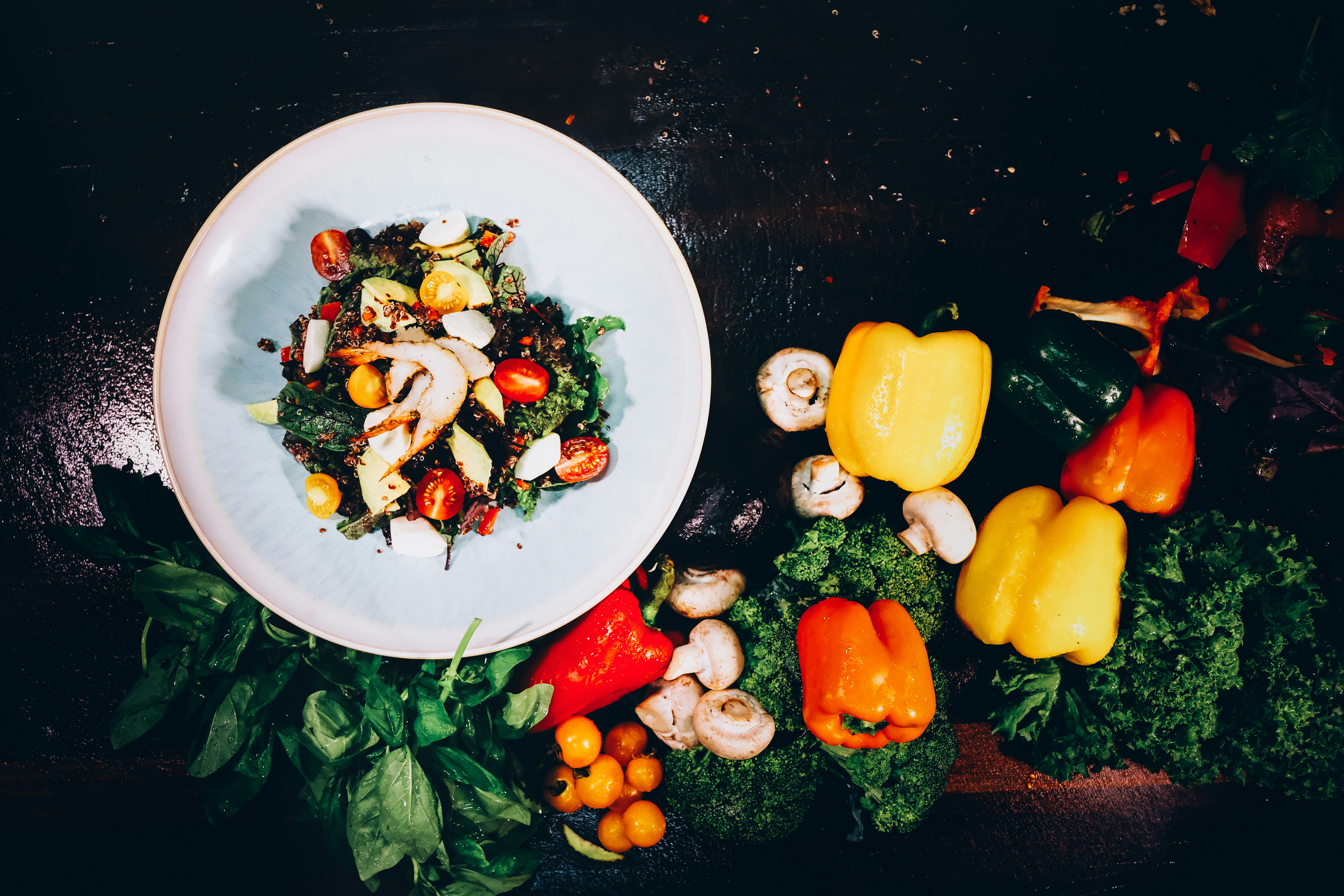 Photo by sammoghadam