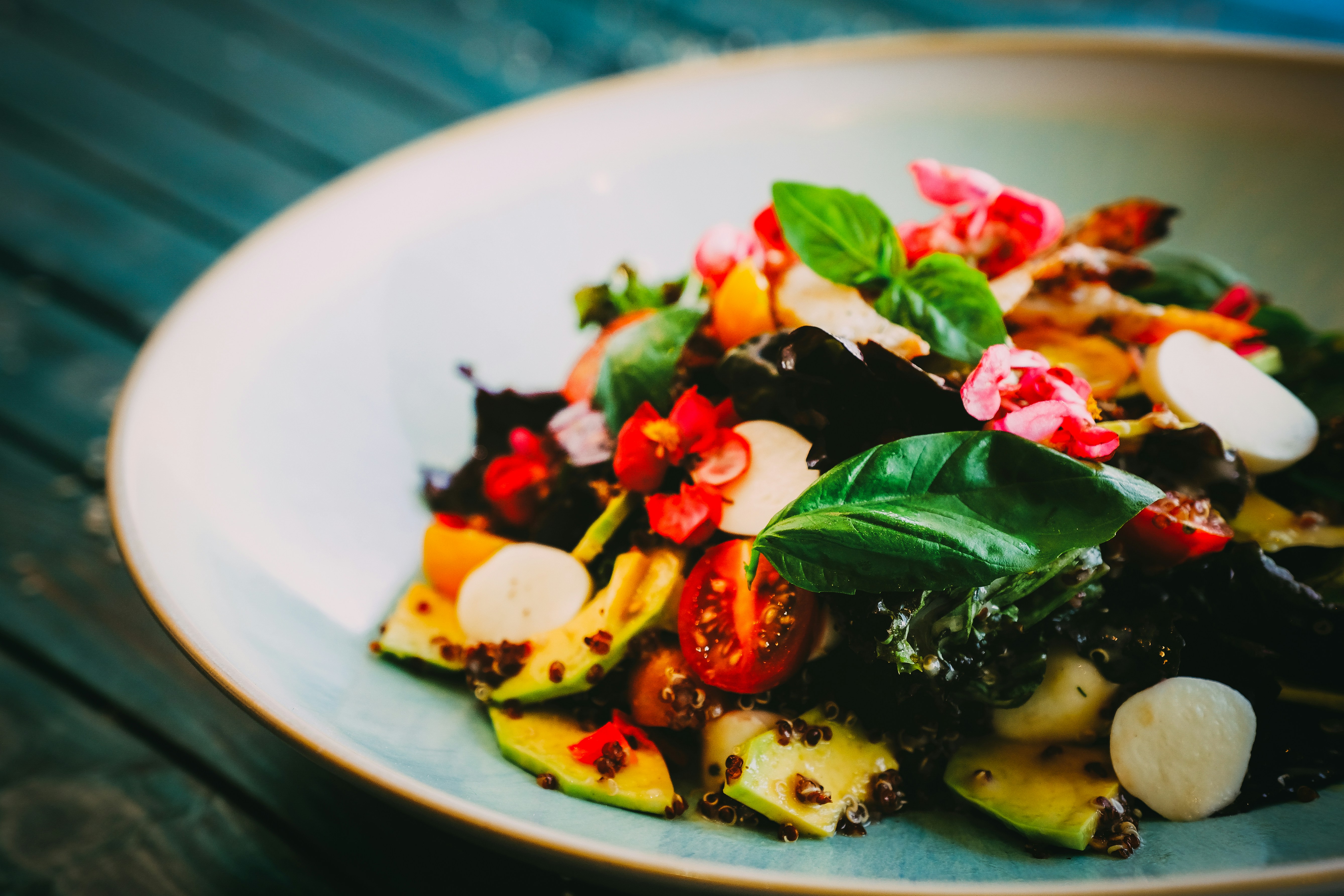 Photo by sammoghadam