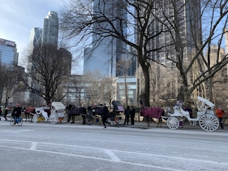 A row of horse-drawn carriages is lined up along a street in a city park. The trees in the area are bare, suggesting a winter setting. Several people are visible, some standing near the carriages and one riding a bicycle. Tall modern skyscrapers can be seen in the background, presenting a contrast between urban life and traditional transportation.