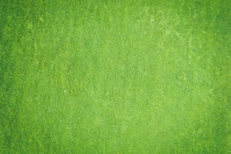 Aerial view of a manicured high-end turf field captured by a UAV.