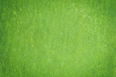 green textile in close up image
