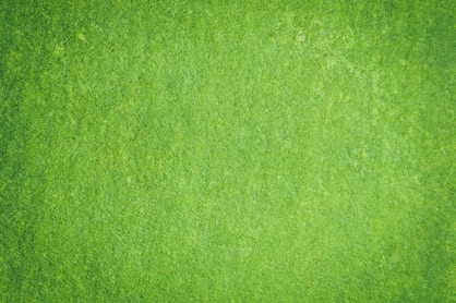 green textile in close up image