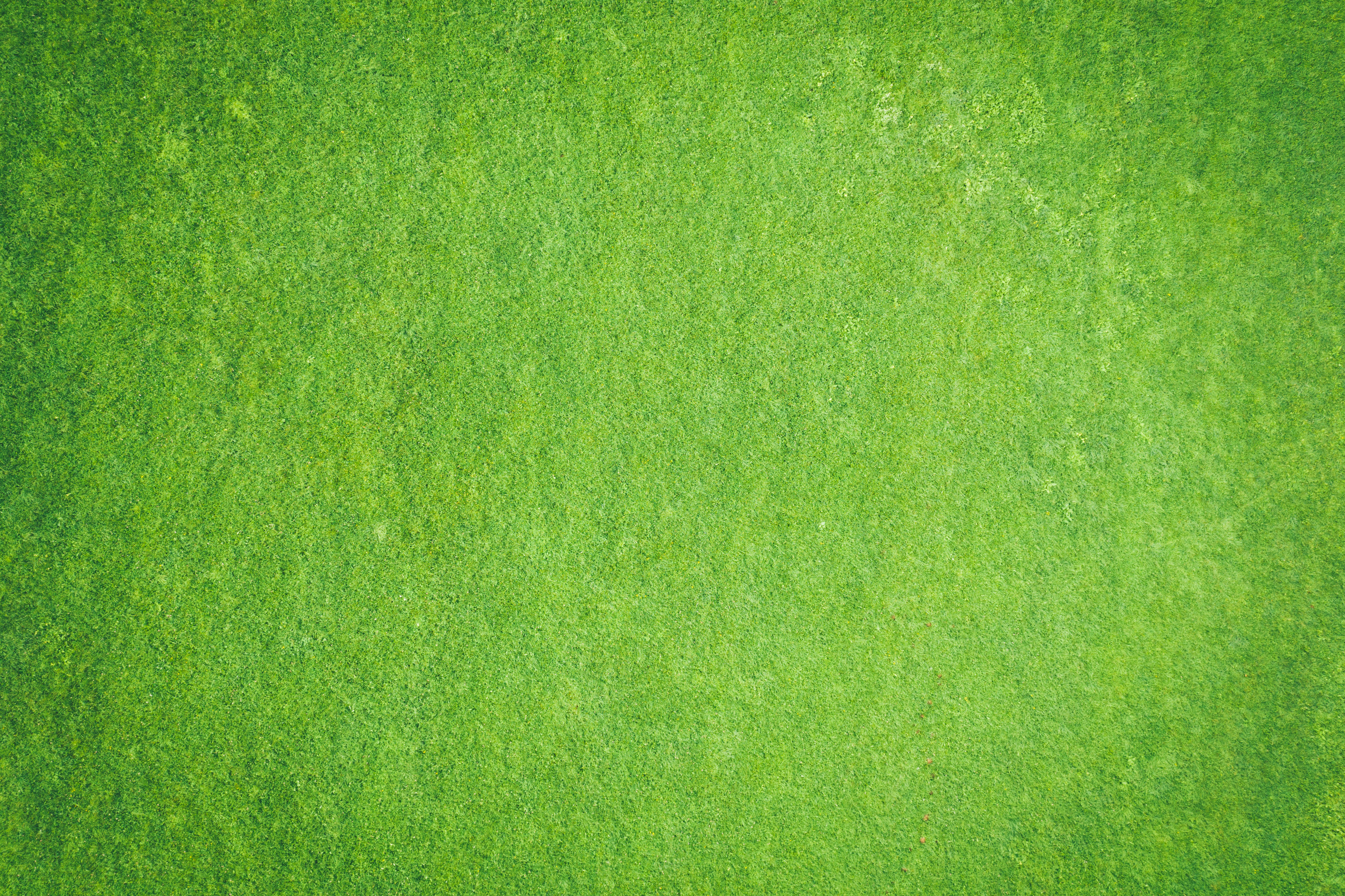 What Does Green Mean In Mexico?