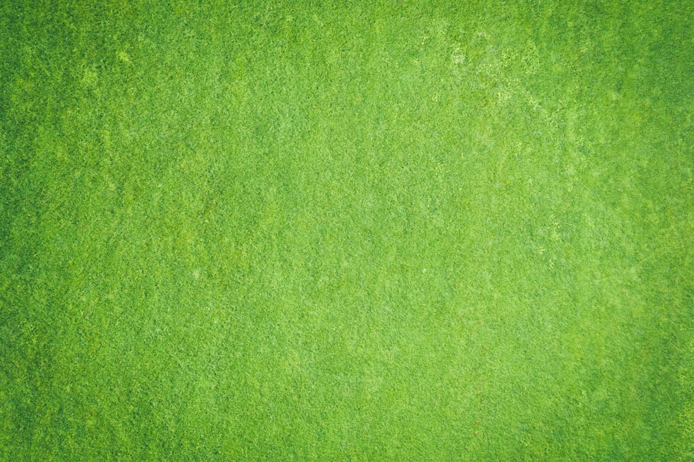 textile vert en gros plan