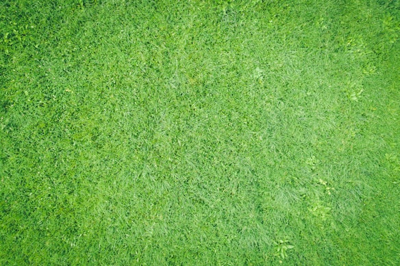 A vast expanse of lush, well-maintained green grass covering the entire frame. The grass appears healthy and vibrant with varying shades of green, and there are subtle variations in texture due to the different growth patterns.