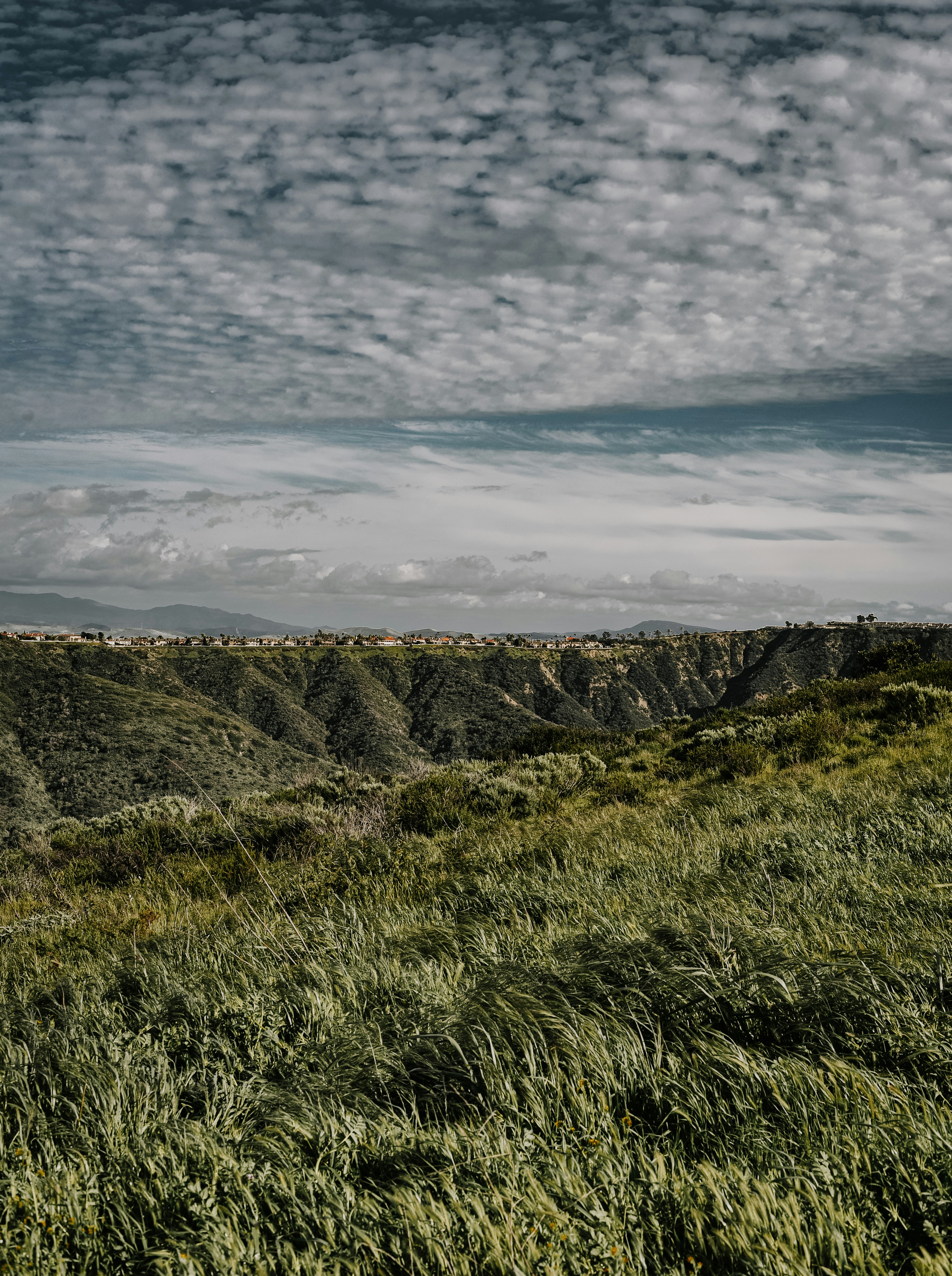 Photo by framesforyourheart