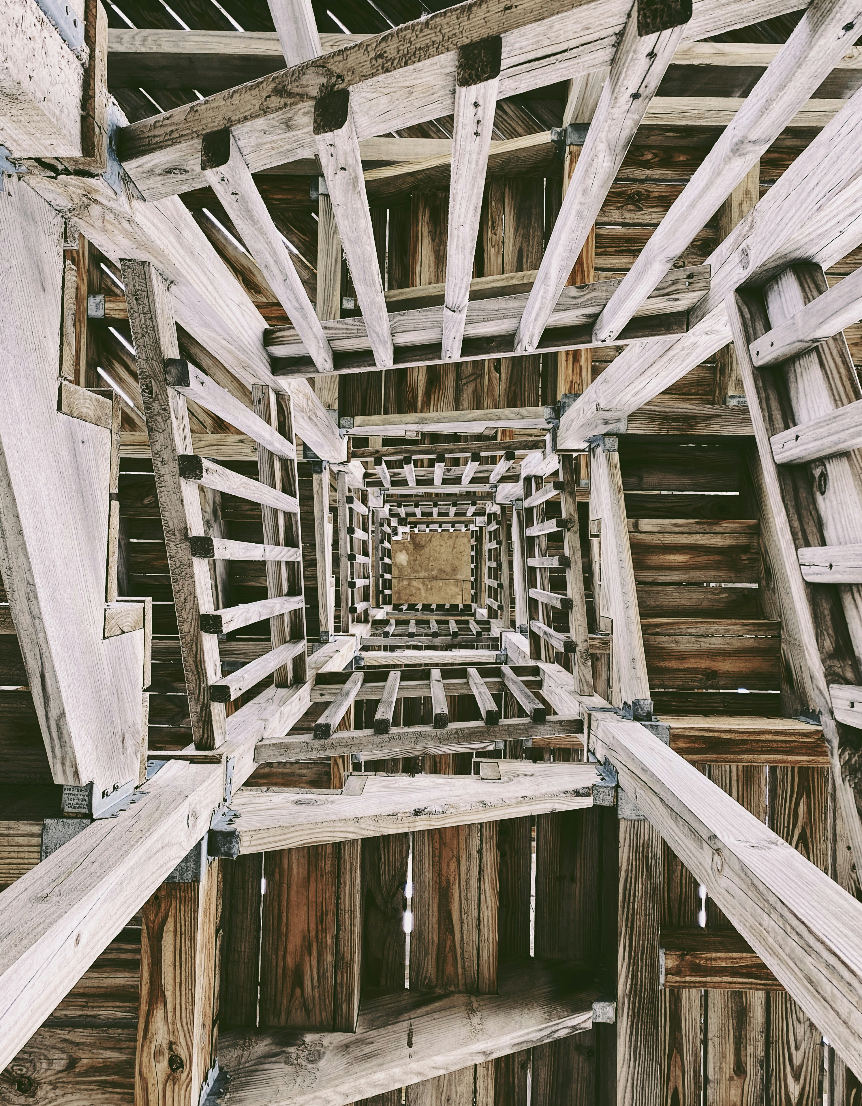 Photo by frankzphoto