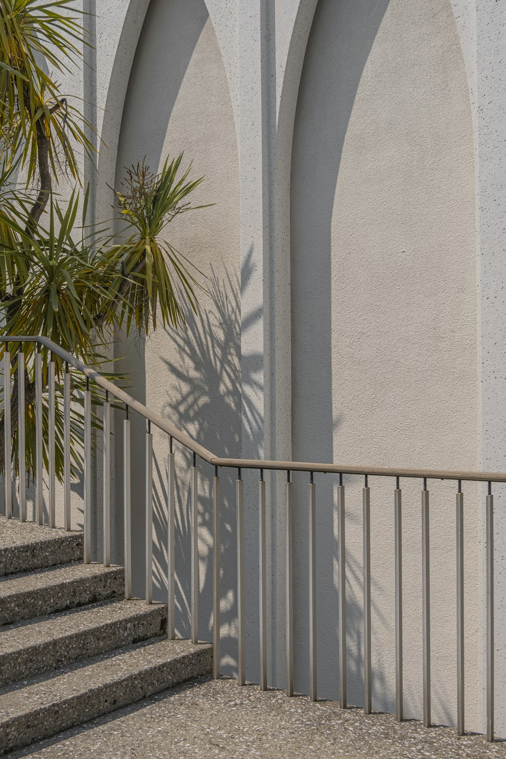 green palm tree beside white concrete wall