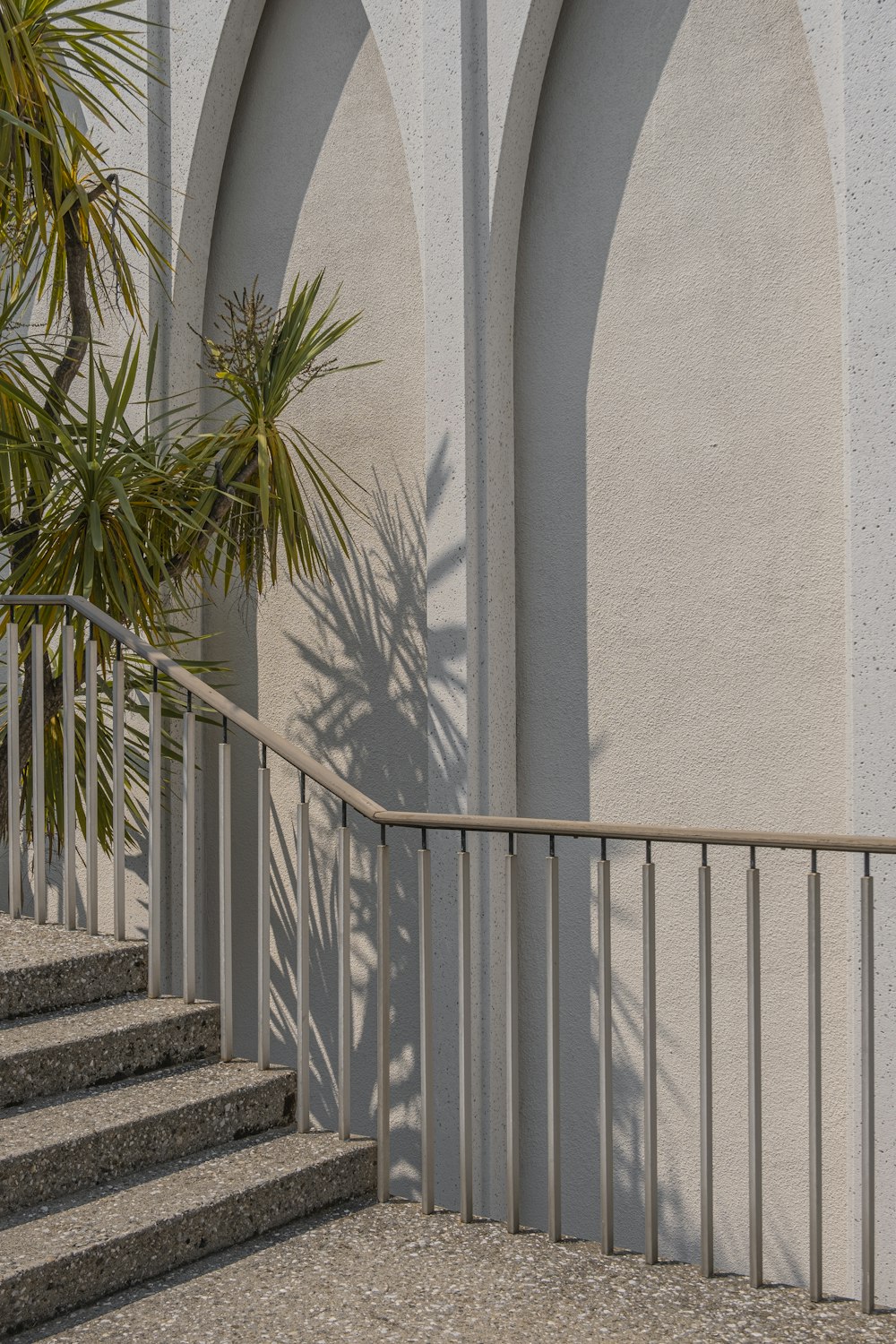 Palmera verde junto a muro de hormigón blanco