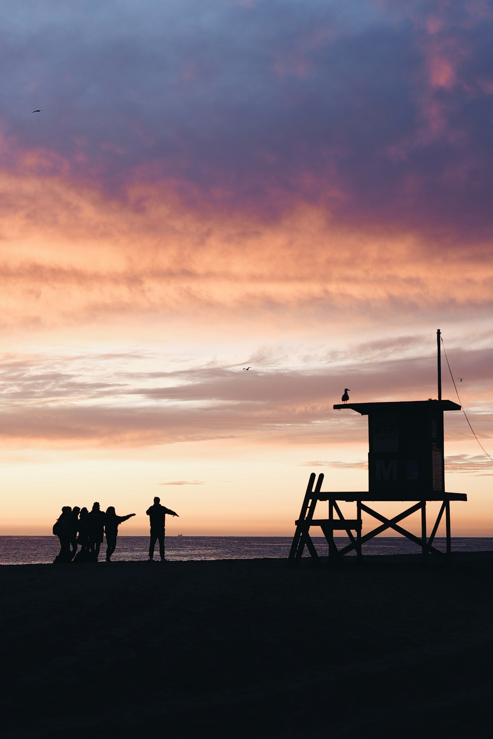 silhouette of people standing on beach during sunset