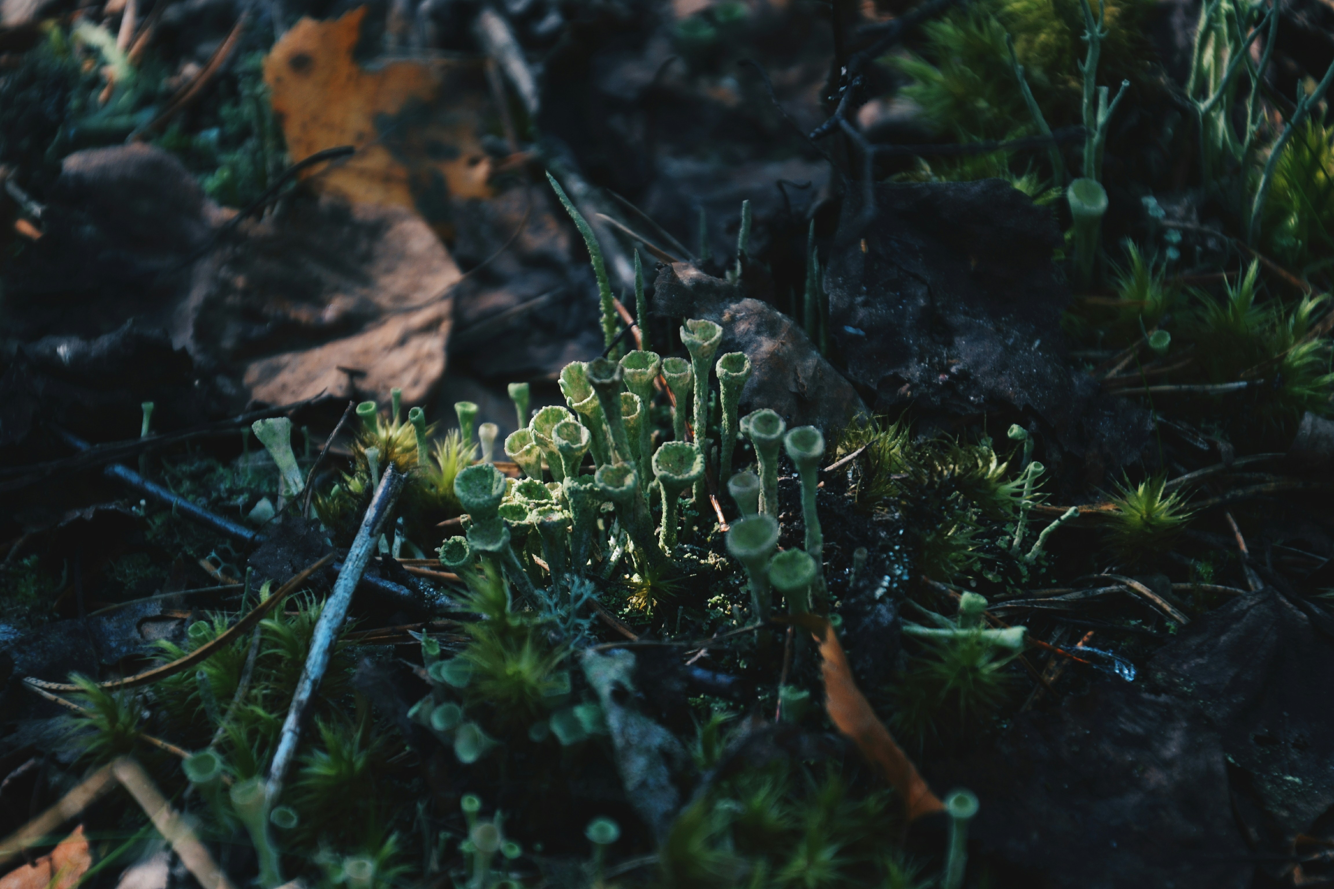 Photo by filedoesnotexist