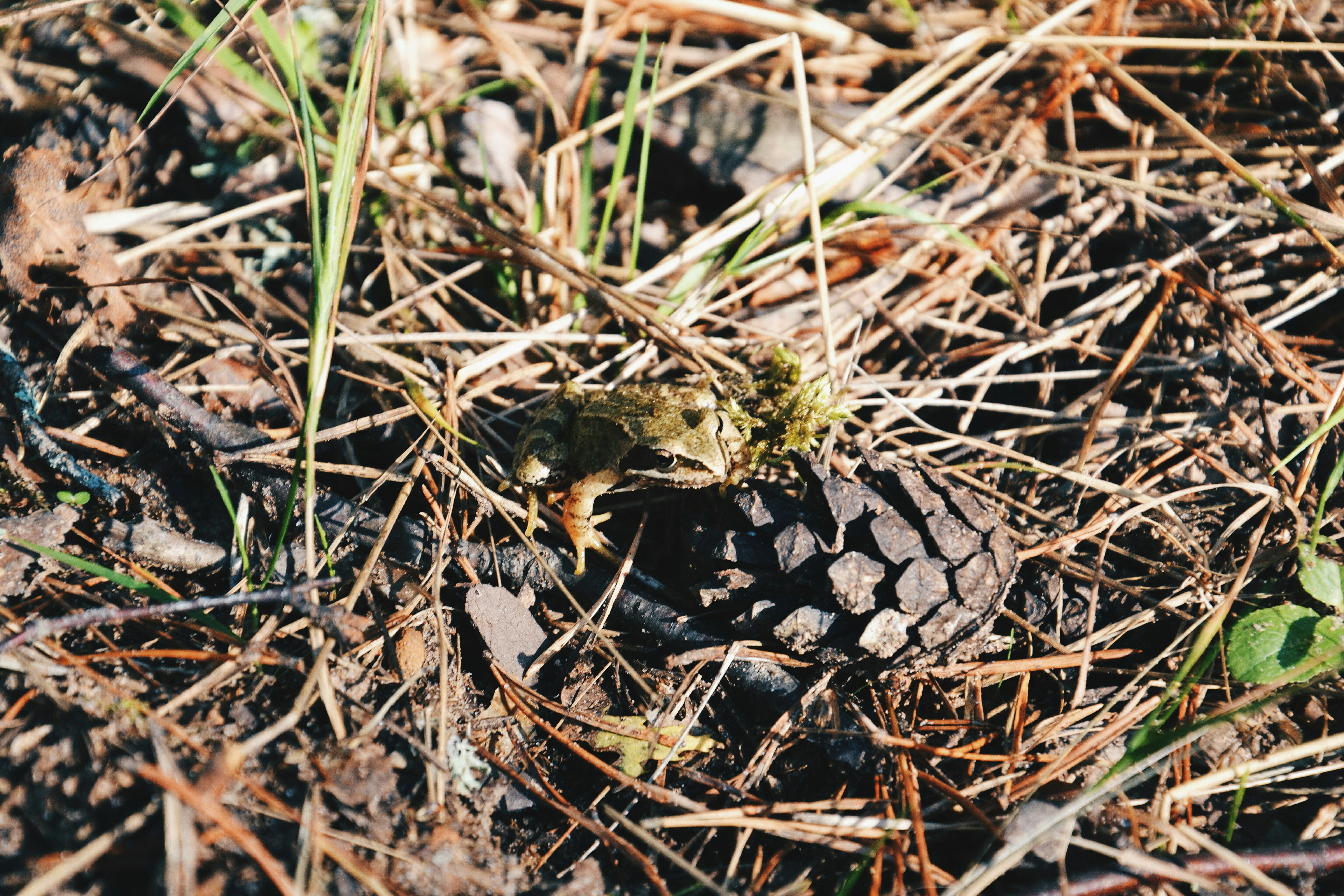 Photo by filedoesnotexist