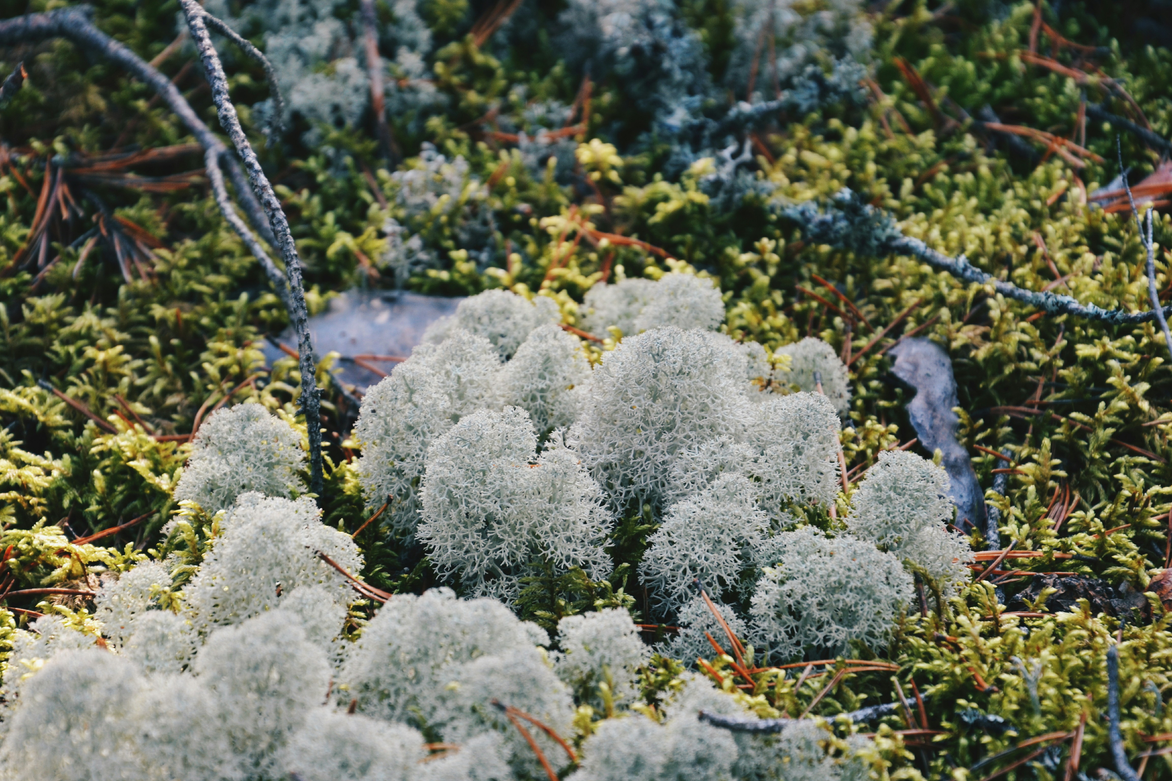 Photo by filedoesnotexist