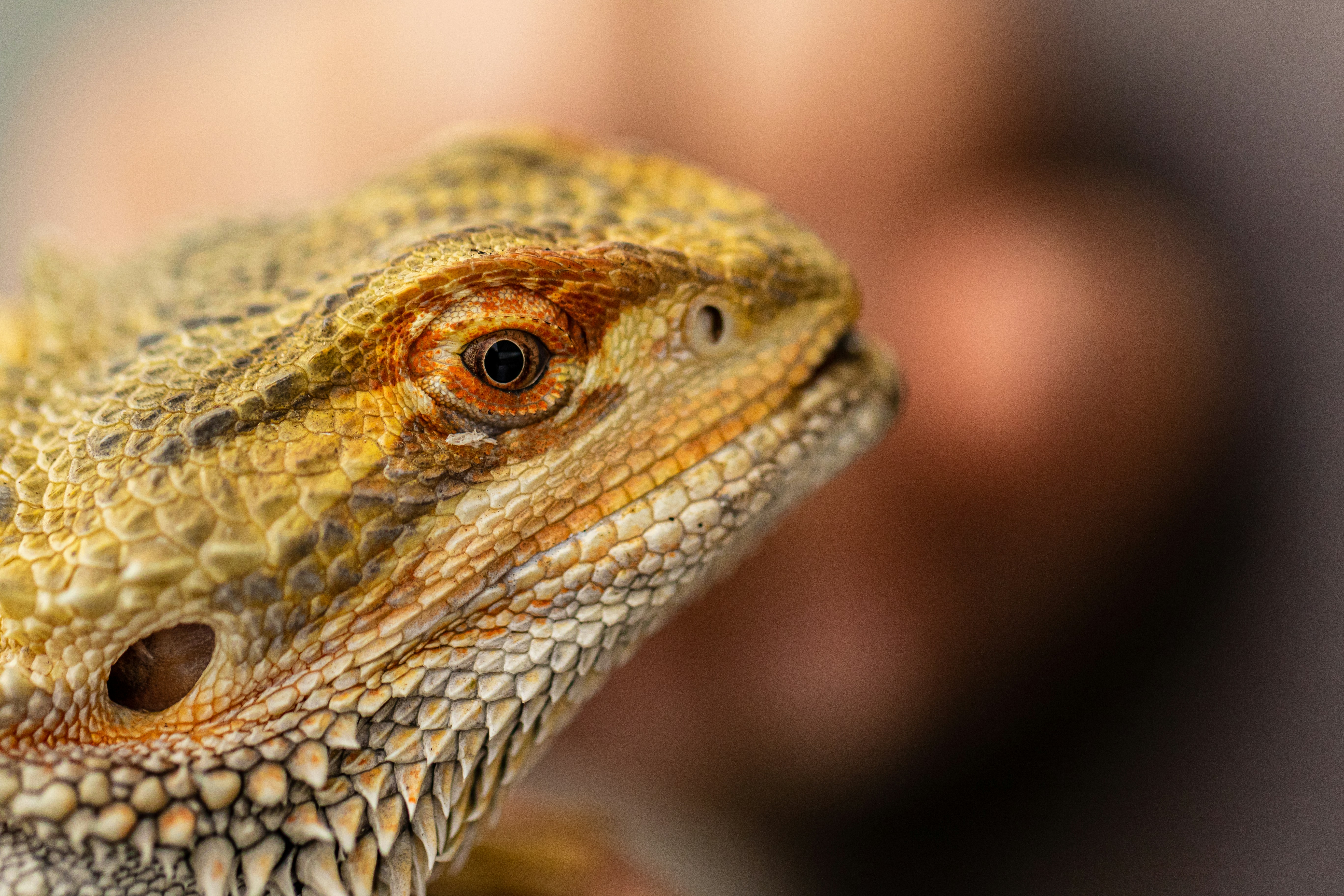 Photo by camerauthor