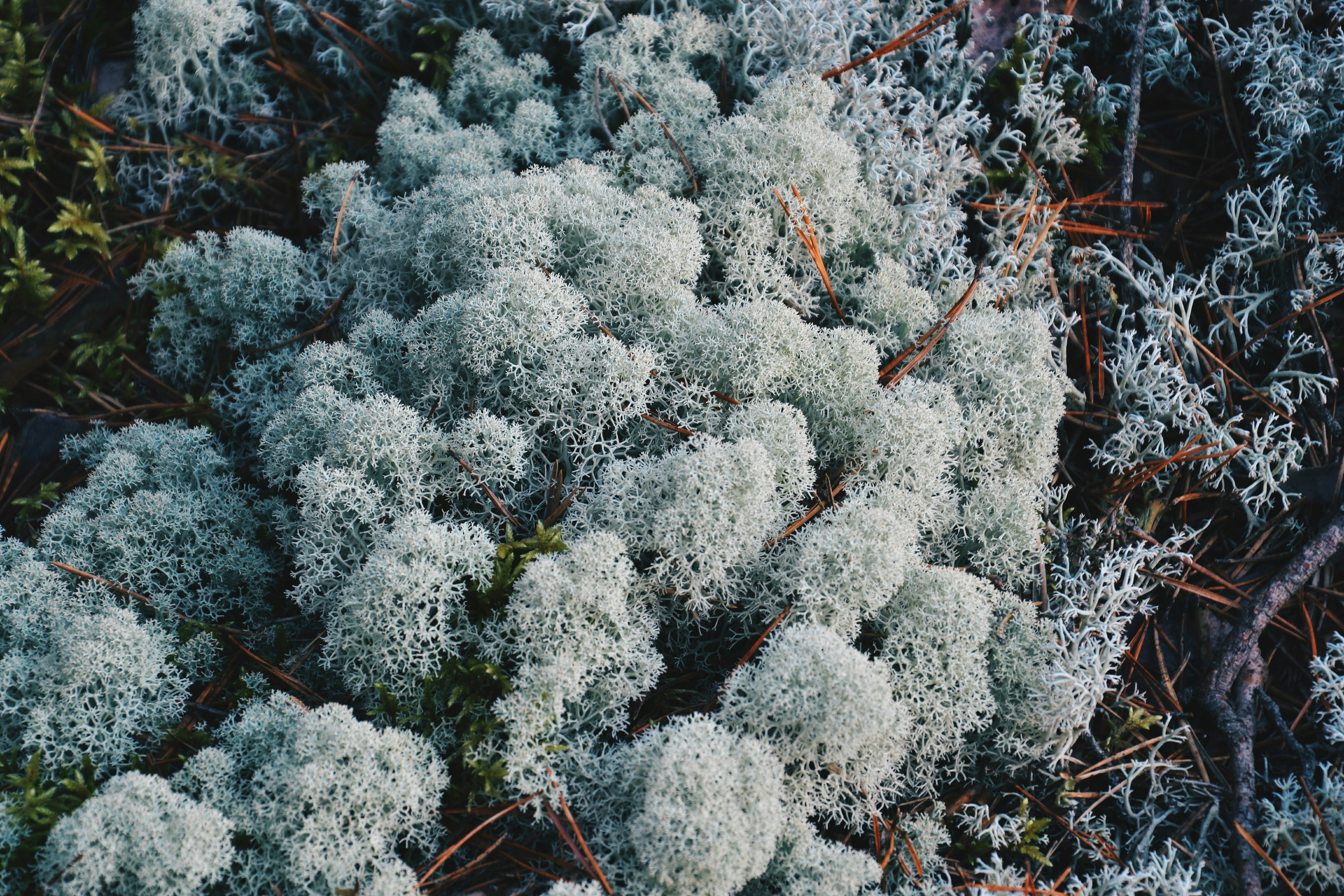 Photo by filedoesnotexist