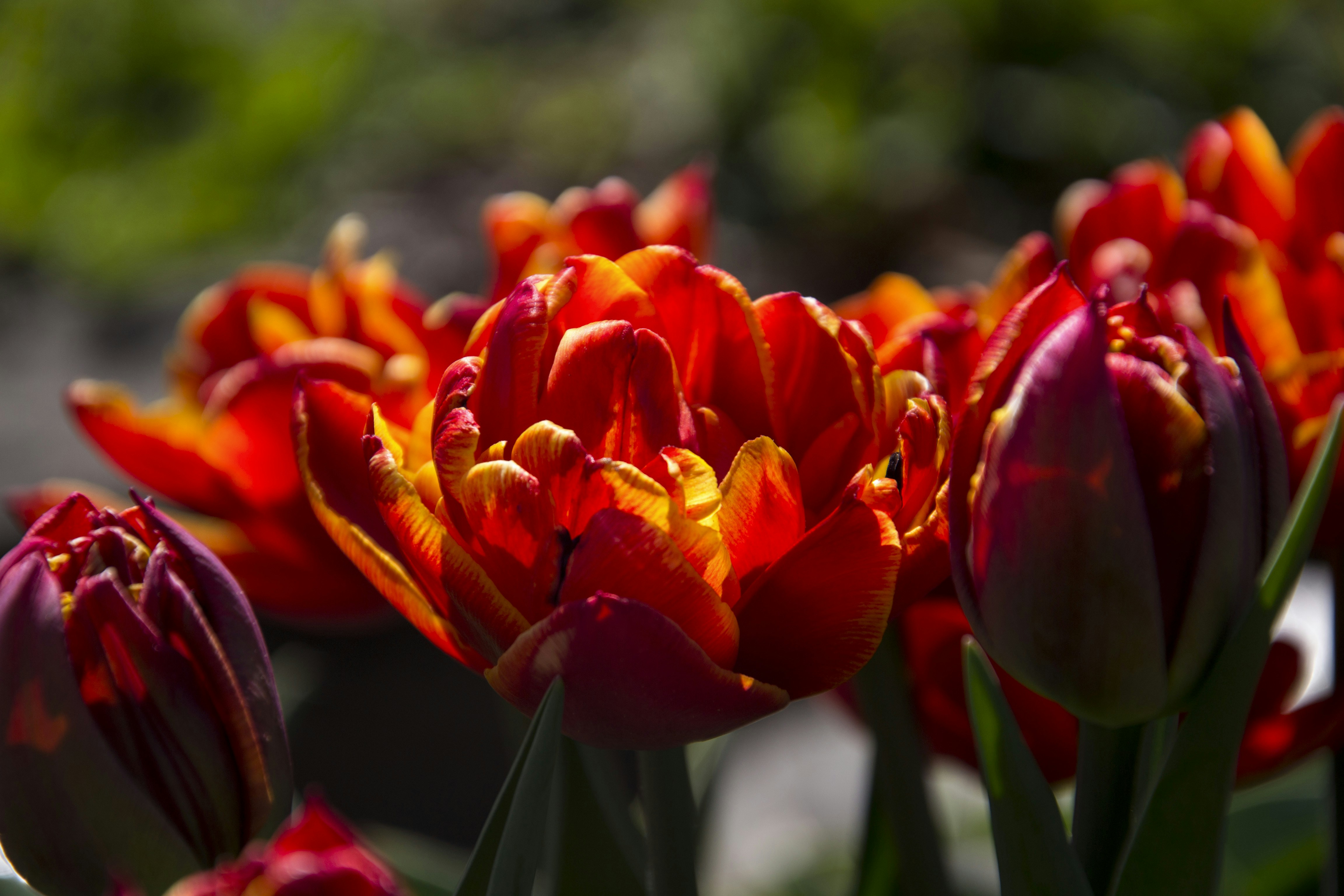 Photo by filedoesnotexist