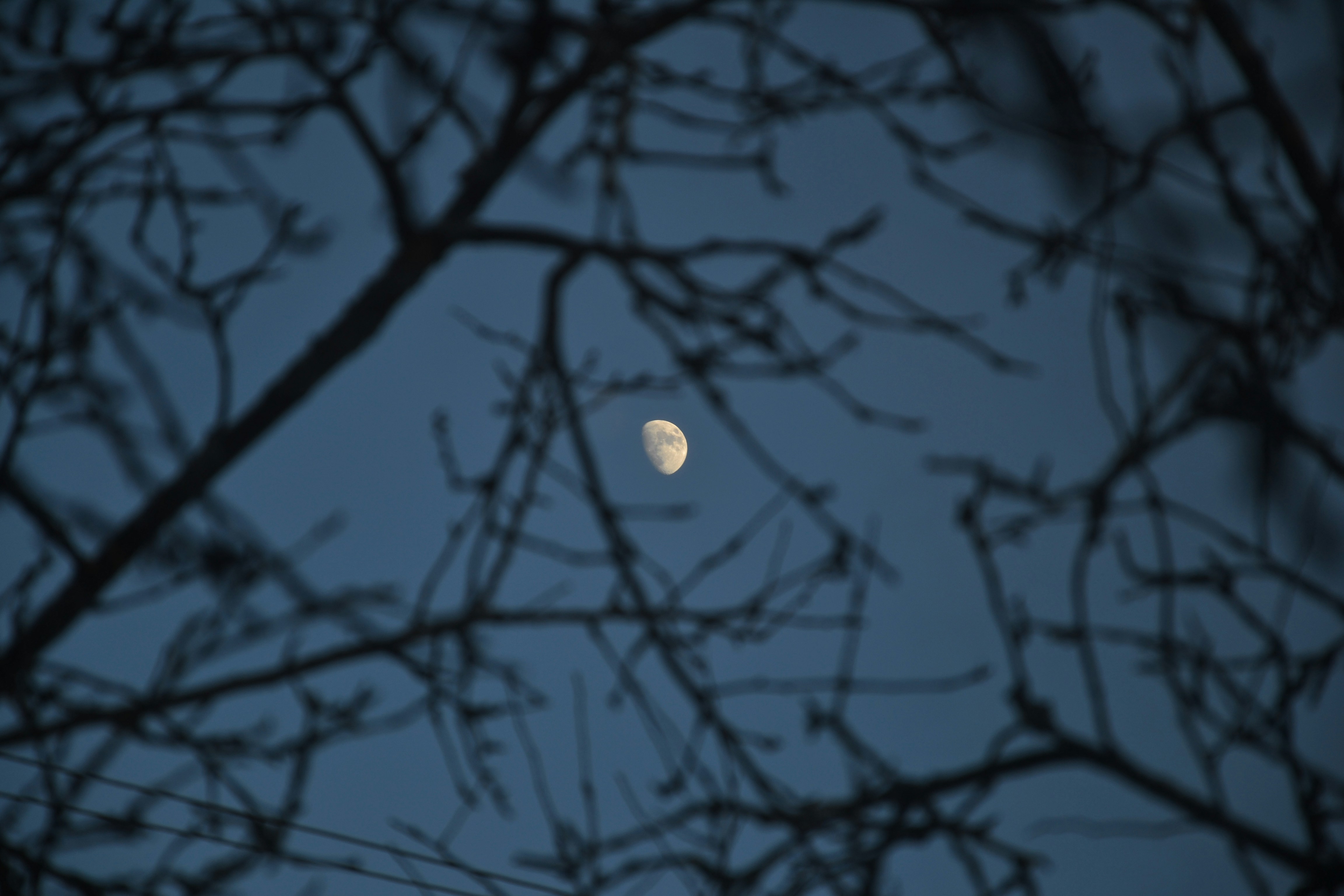 Photo by filedoesnotexist