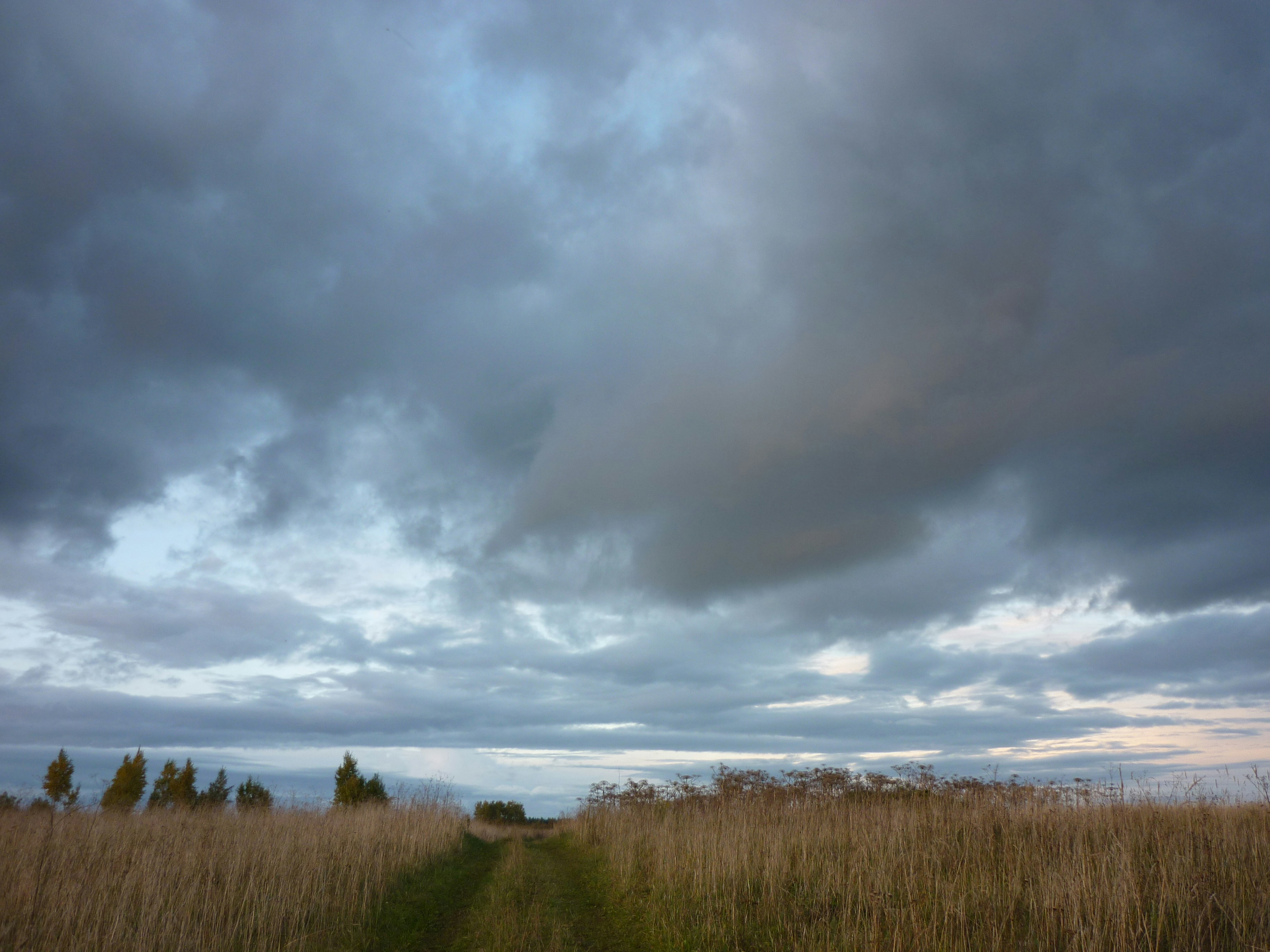 Photo by filedoesnotexist