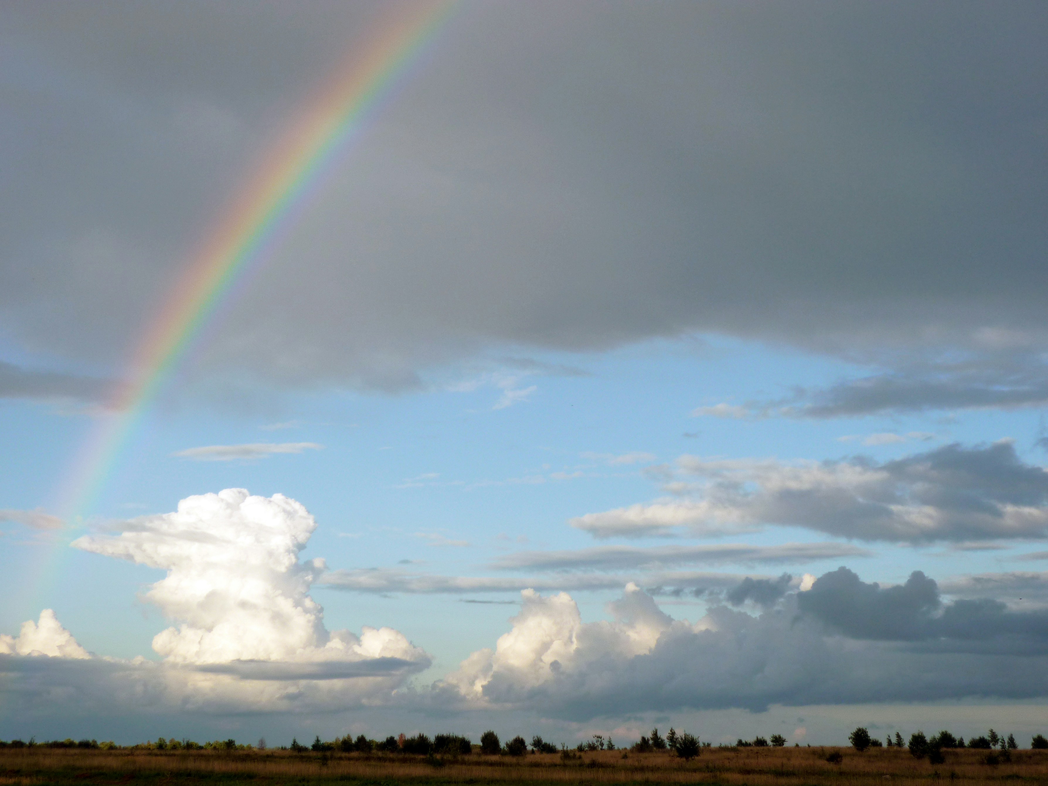 Photo by filedoesnotexist