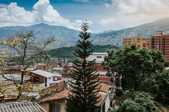 green pine tree near brown and white concrete building during daytime in Medellin Colombia