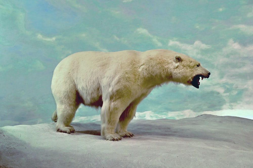 낮 동안 하얀 모래 위에 북극곰