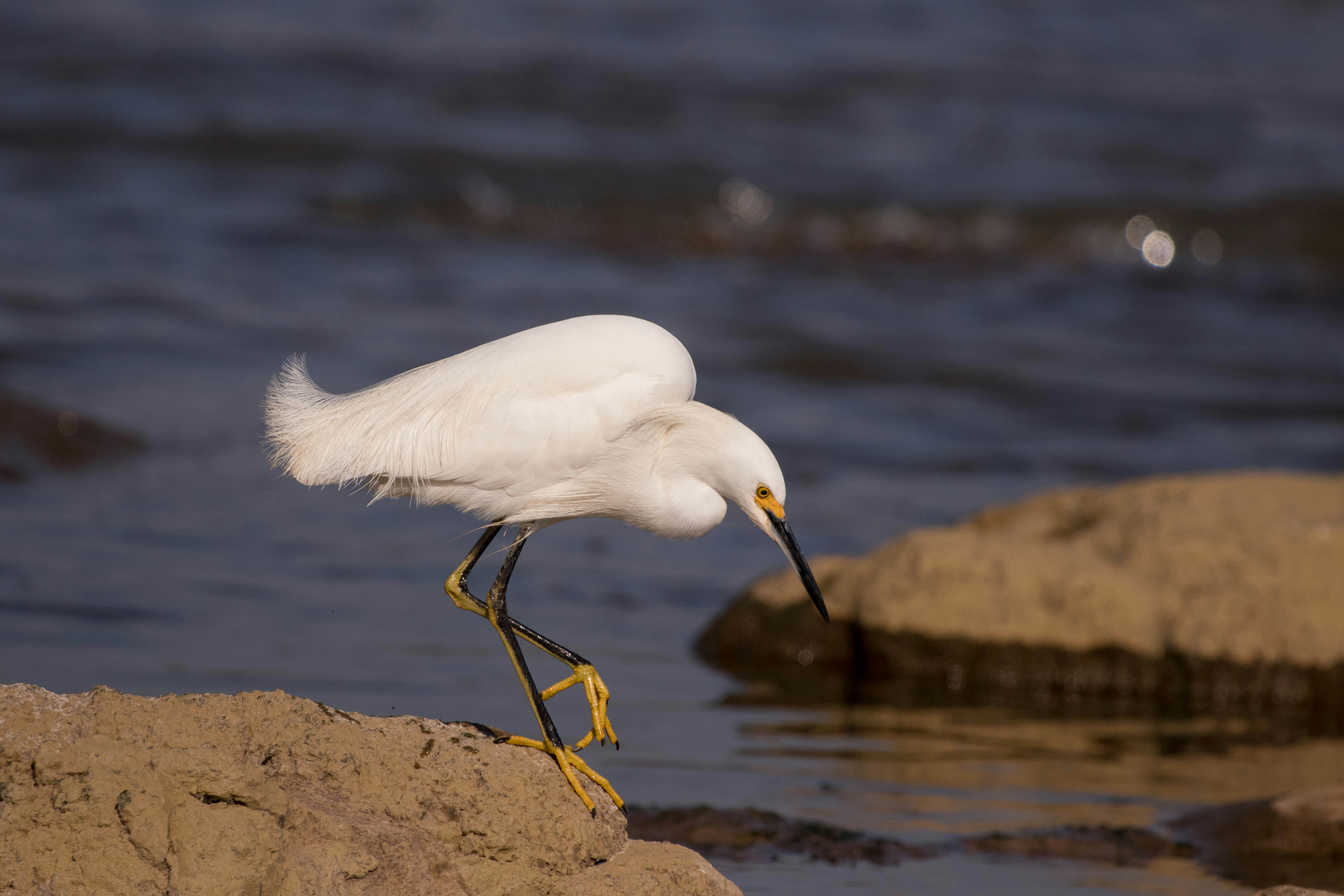 Photo by sonianadales