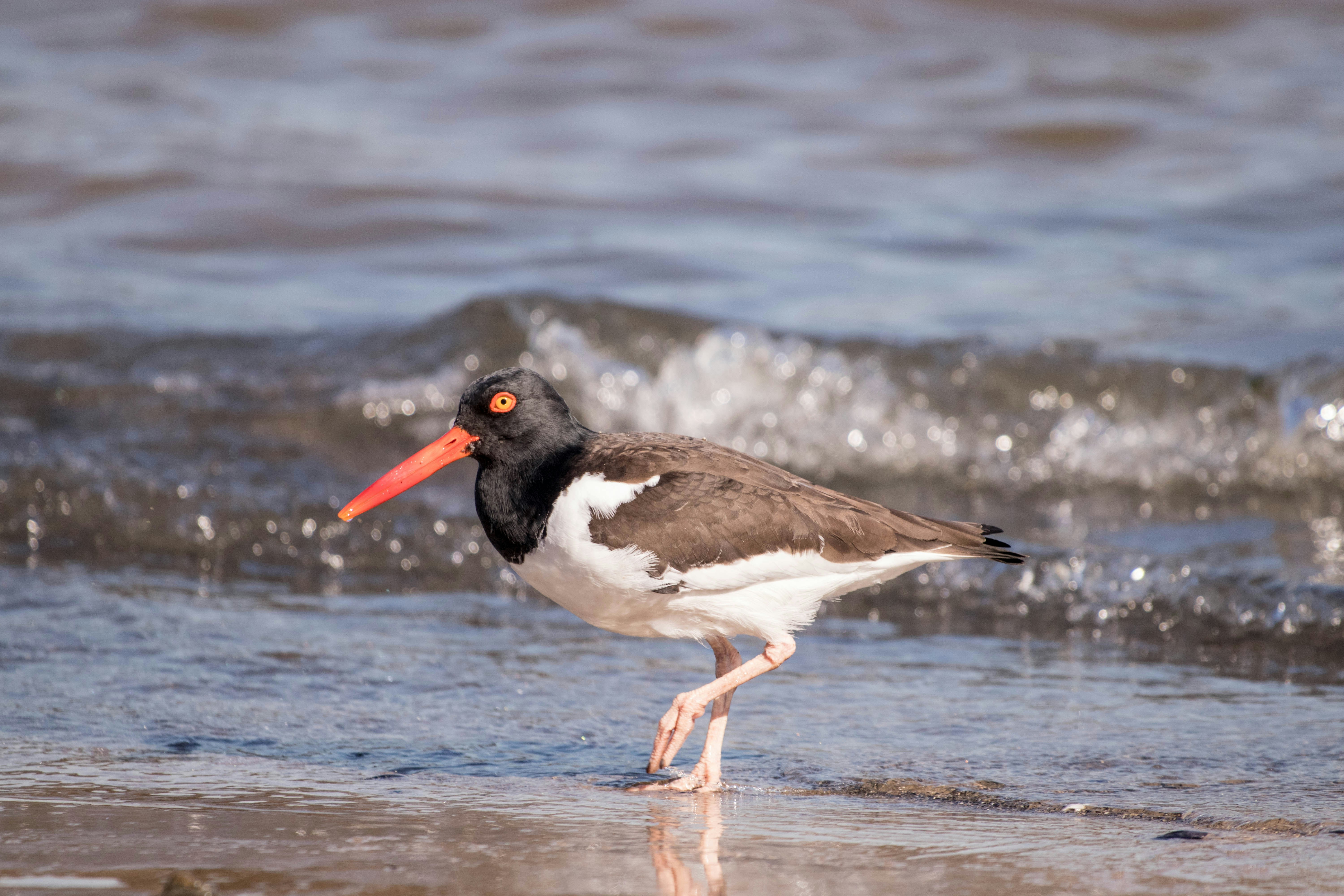 Photo by sonianadales