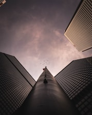 worms eye view of high rise building
