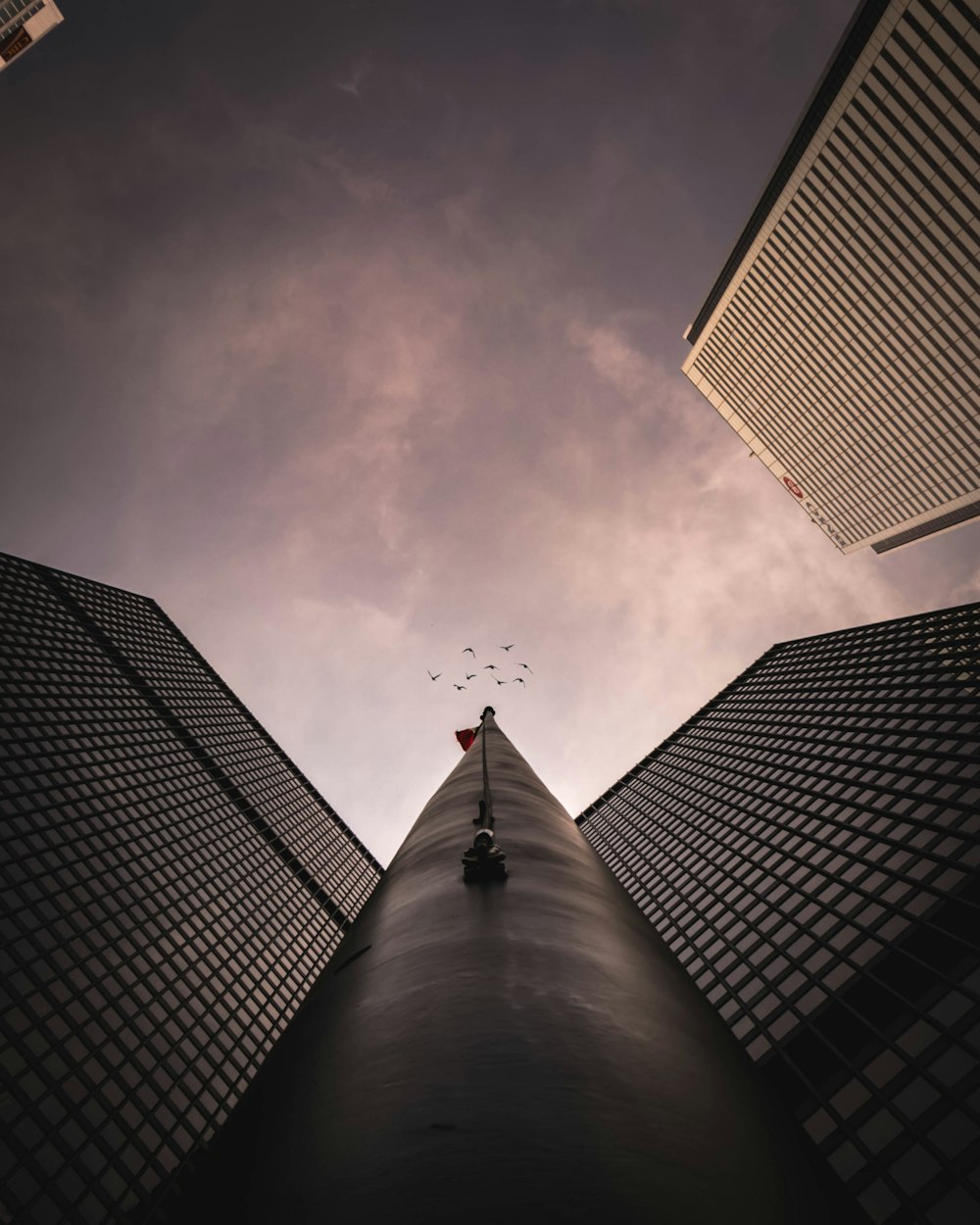 worms eye view of high rise building