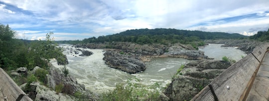 green trees beside river under white clouds during daytime in Great Falls Park United States