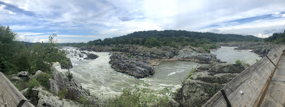 green trees beside river under white clouds during daytime