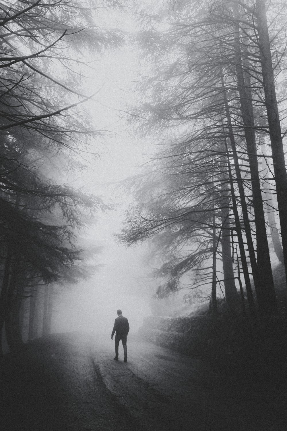 man in black jacket standing on pathway between bare trees