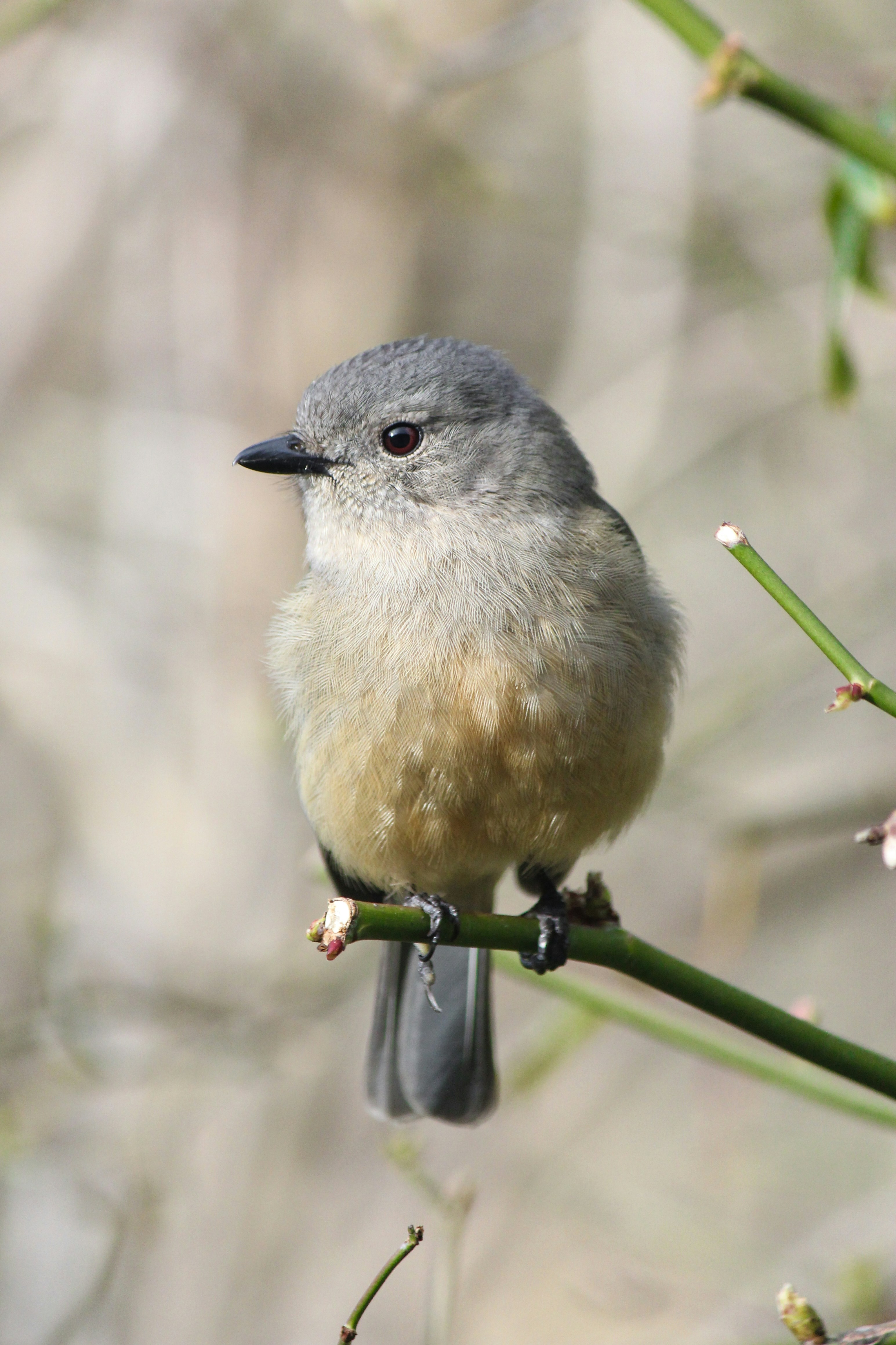 Photo by scottkelley