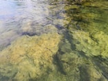 Clear water of a shallow body of water with visible rocky and sandy bottom. The surface of the water reflects the surrounding environment lightly, creating gentle ripples.
