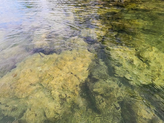 Clear water of a shallow body of water with visible rocky and sandy bottom. The surface of the water reflects the surrounding environment lightly, creating gentle ripples.