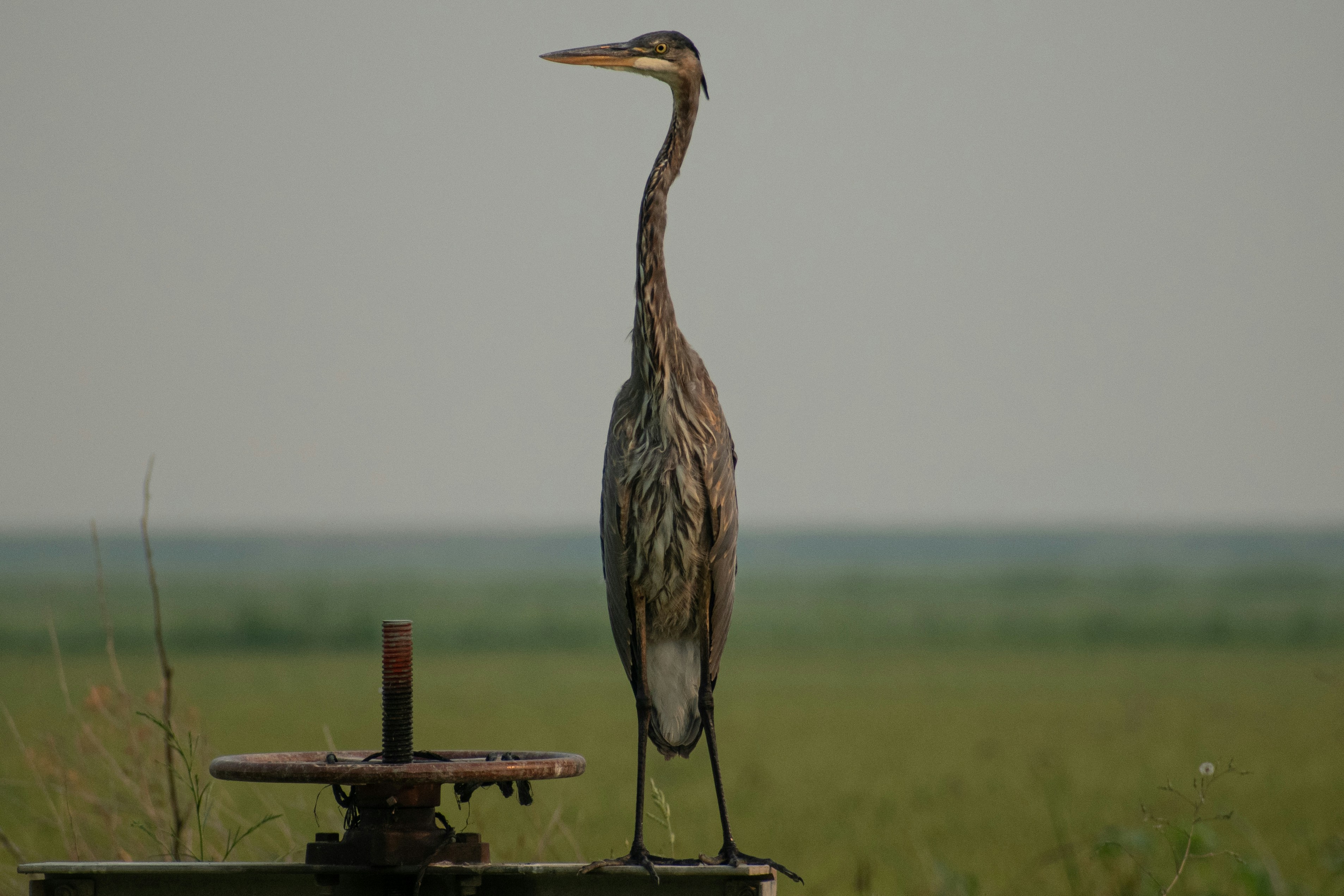 Photo by elisastonephotography