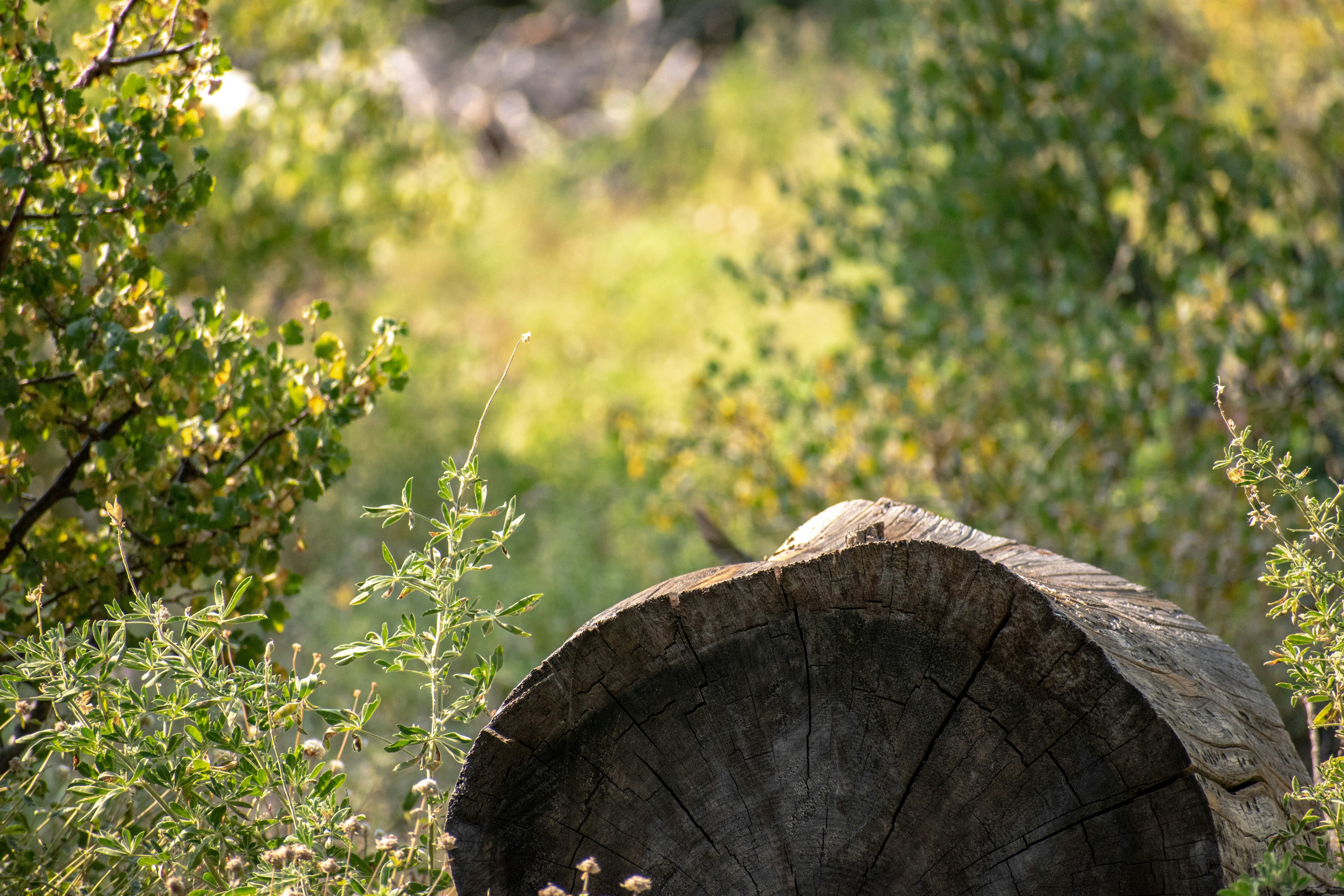 Photo by elisastonephotography