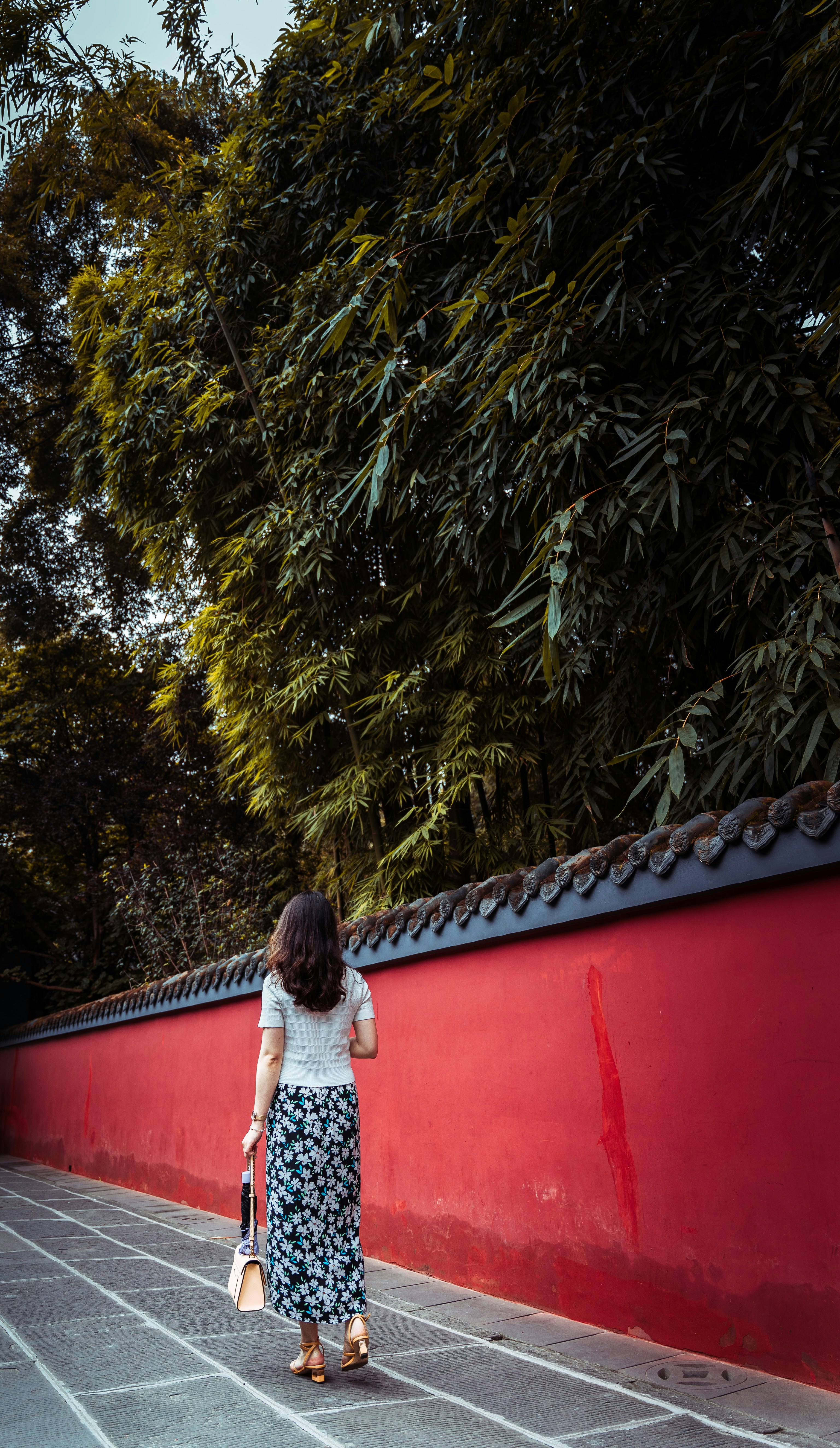 Photo by sergioxu