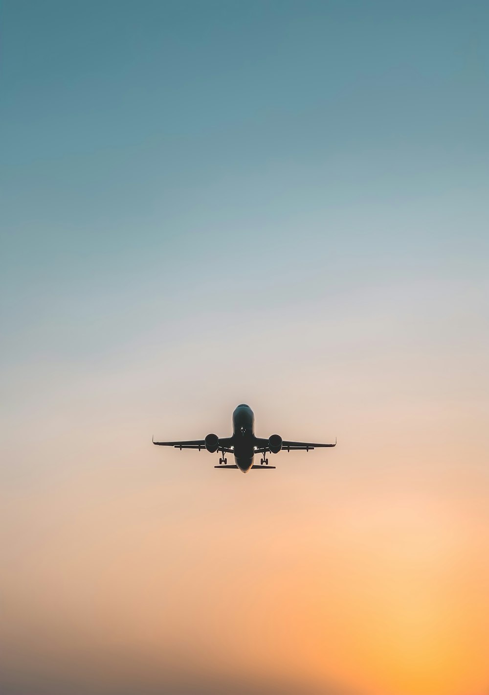 black airplane in the sky