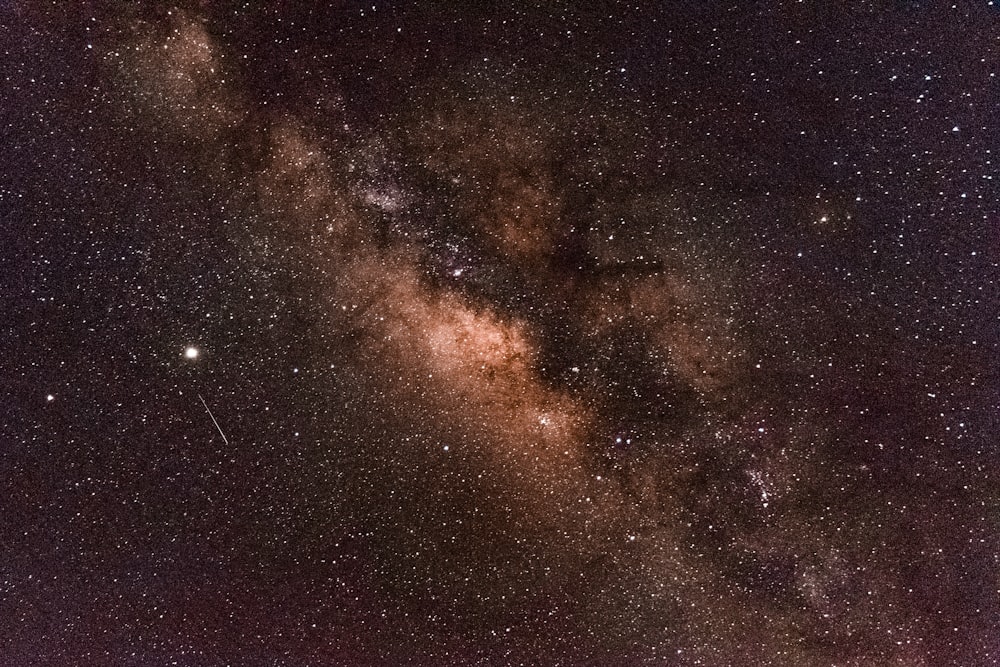 black and brown starry night