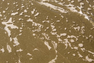 Abstract interpretation of sea foam patterns swirling across a sandy beach.