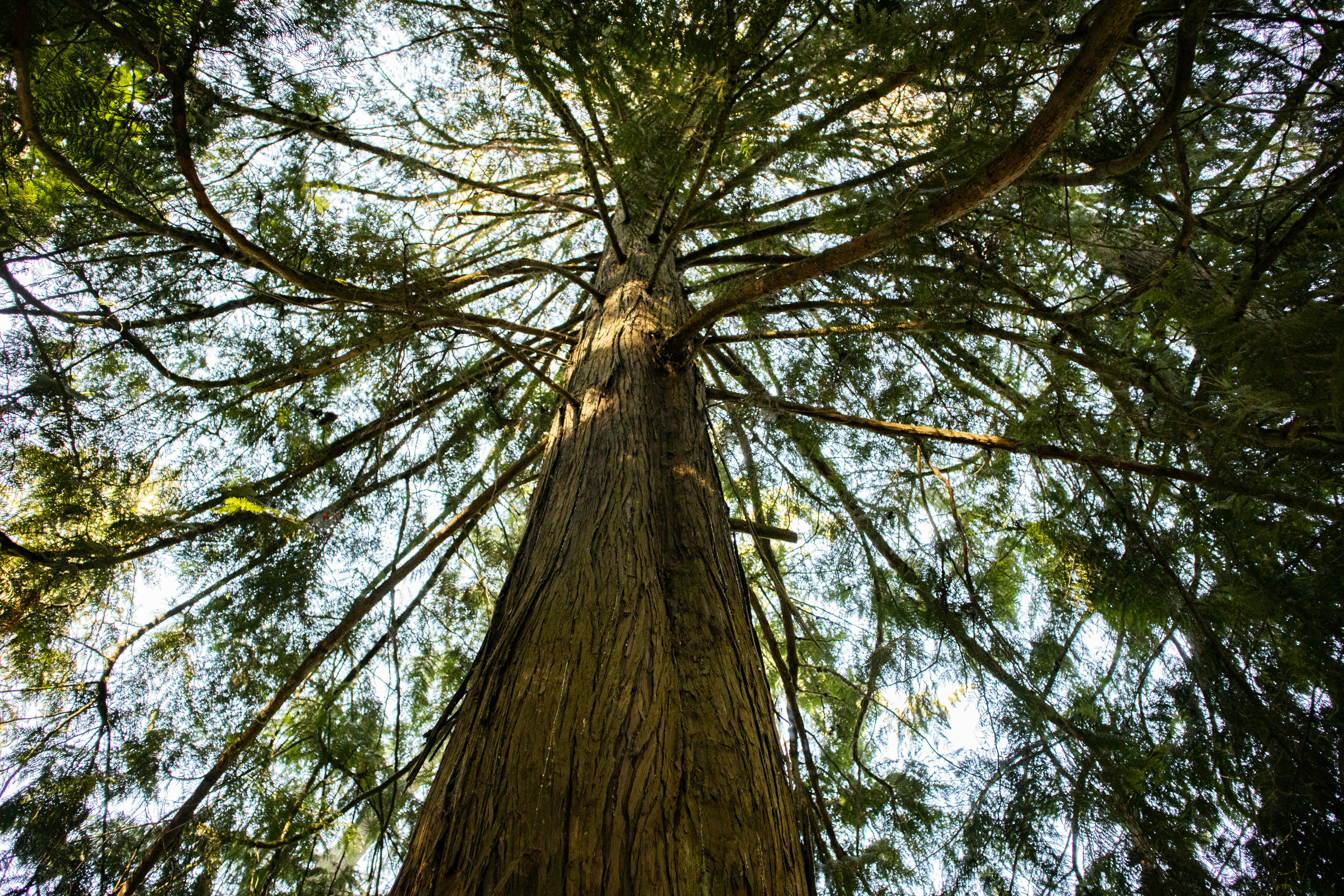 Photo by cannaphotography