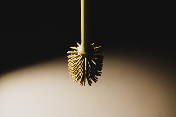 Close-up of hands holding a sleek kitchen gadget from everyday essentials against a bright background.