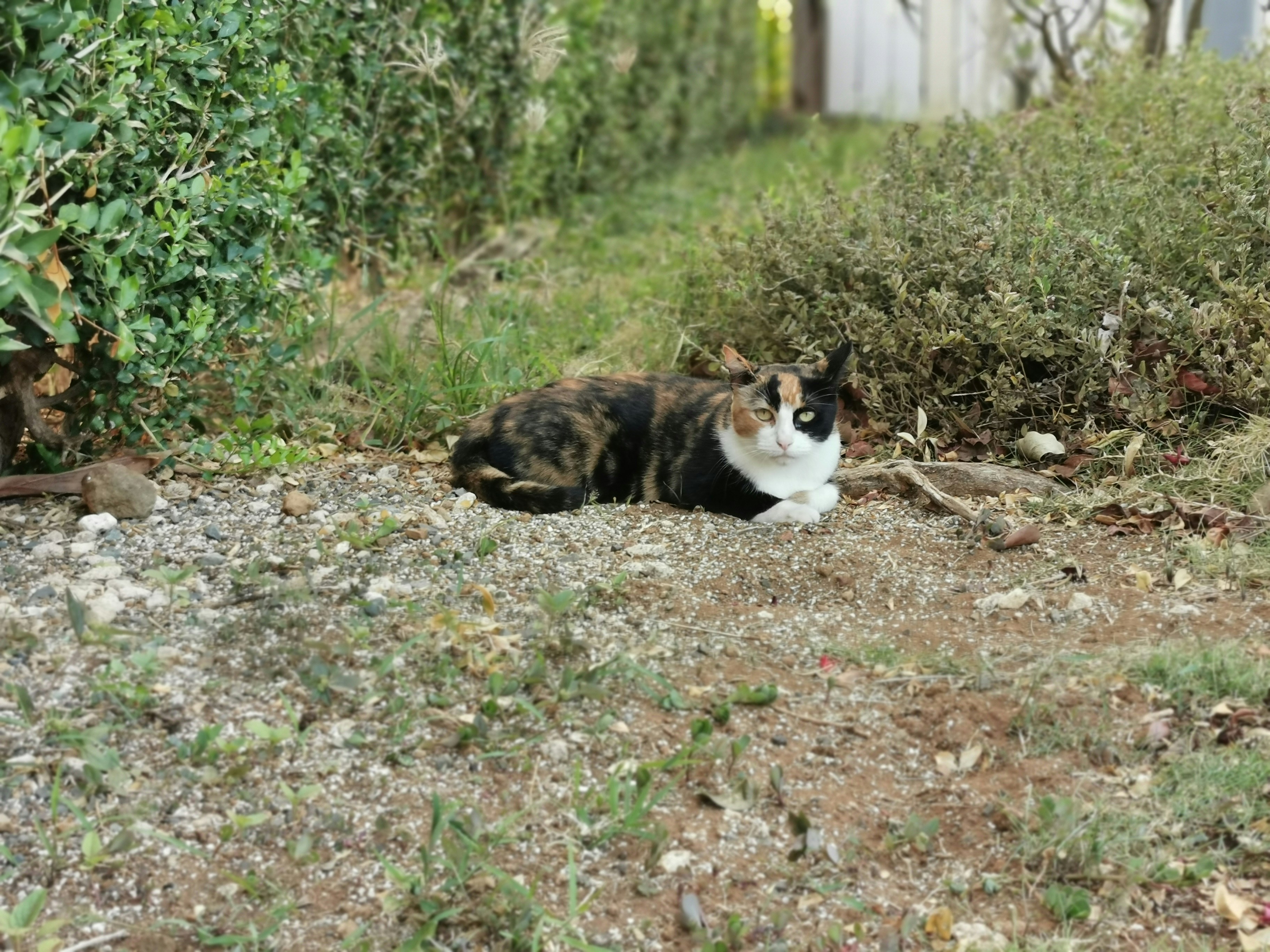 Photo by atoto_photo