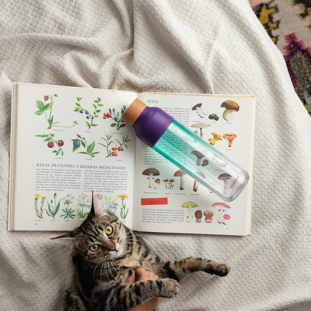 Cozy Cat Bookmark