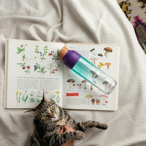 Cozy Cat Bookmark