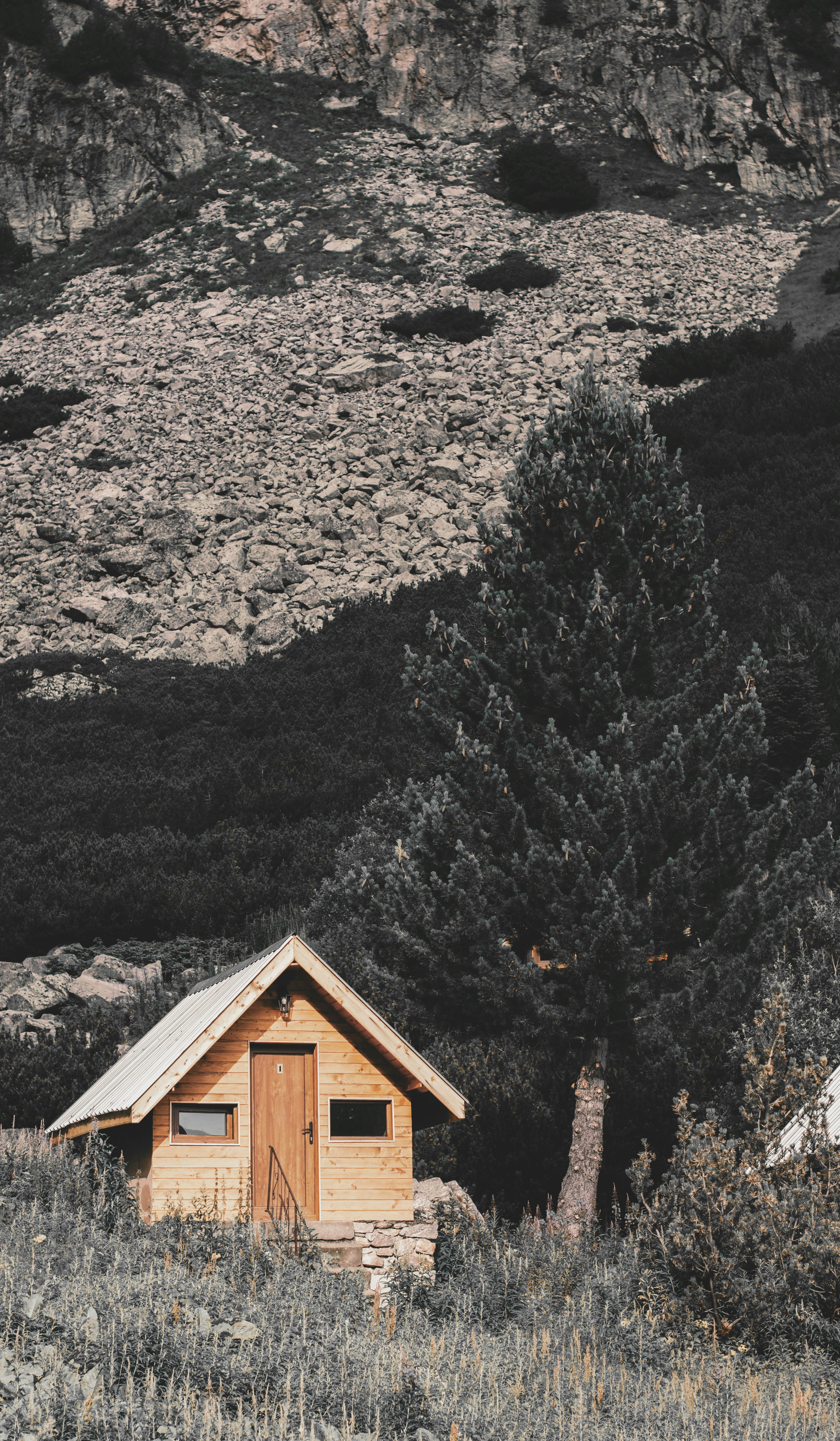 Photo by danielabeleva