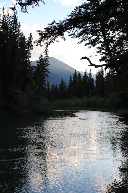Miette River things to do in Jasper