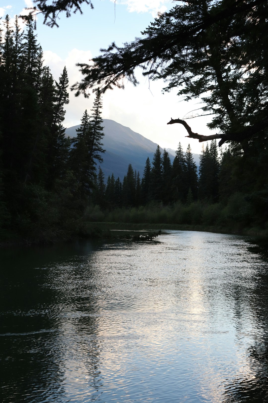 photo of Miette River River near Jasper